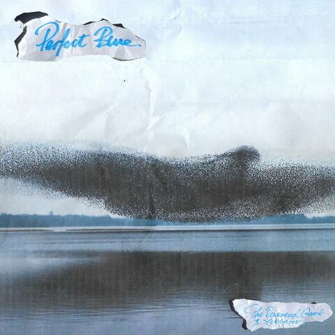 Perfect Blue (feat. Yubbarii)