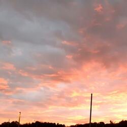 Naken på slätten (feat. Freddie Wildén)