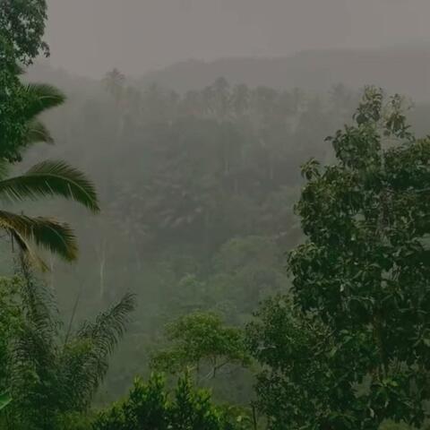 Raindance