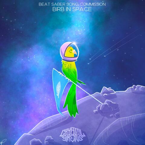 BIRB IN SPACE