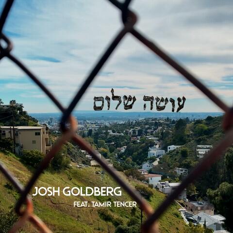 Oseh Shalom (feat. Tamir Tencer)