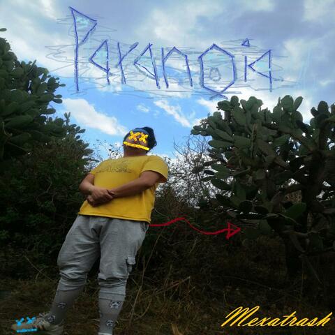 Paranoia