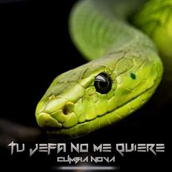 Tu Jefa No Me Quiere