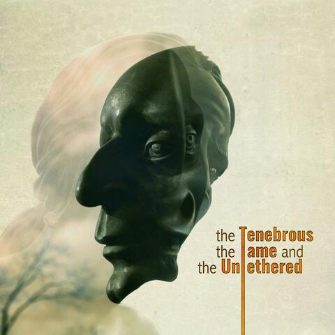 The Tenebrous, The Tame, and The Untethered