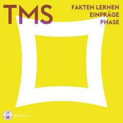 Fakten lernen – Einprägephase (TMS)