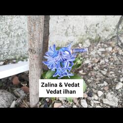 Zalina Vedat ilhan