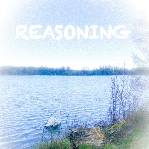 Reasoning