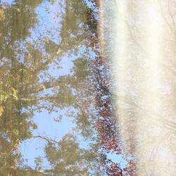 Limerence (feat. digifern)