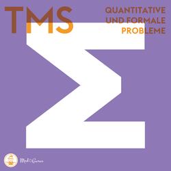 Quantitative und formale Probleme (TMS)