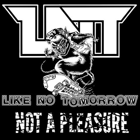Not A Pleasure