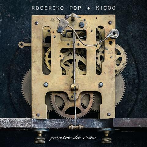 Pauvre de moi (feat. K1000)