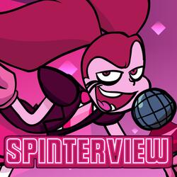 Spinterview