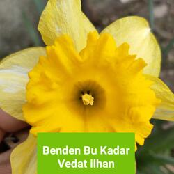 Benden bu kadar