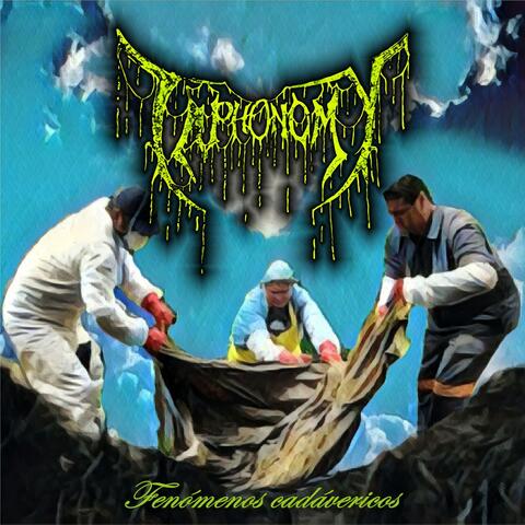 Fenómenos Cadavéricos