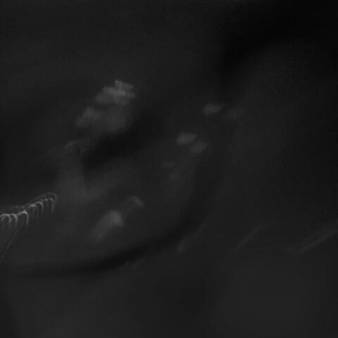(MYXINE SERIES) N: CWM