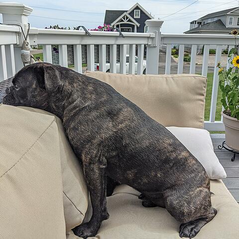 Mugsy Trappin (instrumental)