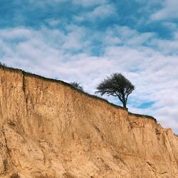 Liberate us from World Government Tyranny