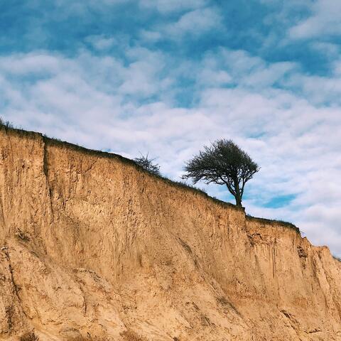 Liberate us from World Government Tyranny