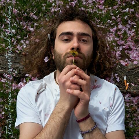 Cigarettes and Dandelions