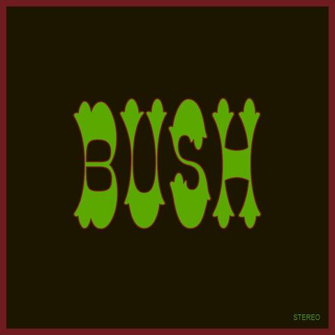 Bush