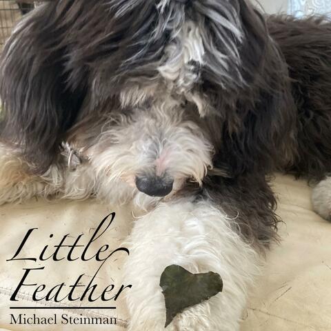 Little Feather