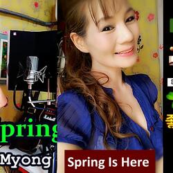 Spring Is Here 봄봄봄