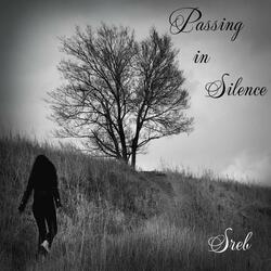 Passing in Silence