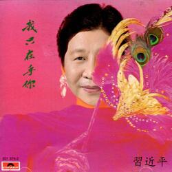 我只在乎你