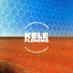 Vanishing of Bees