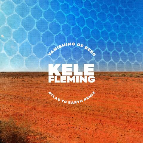 Vanishing of Bees (Atlas to Earth Synthwave Remix)