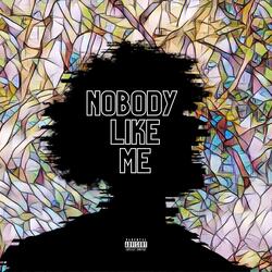 Nobody Like Me