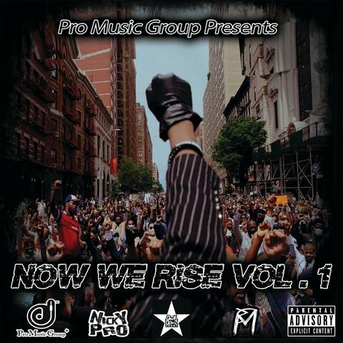 Pro Music Group Presents Now We Rise, Vol. 1