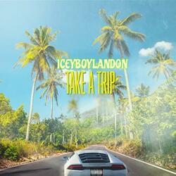 Take A Trip