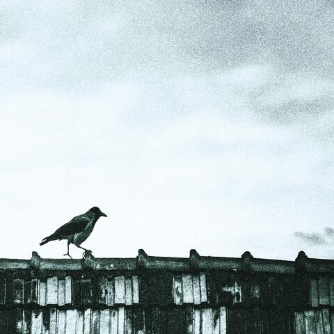 Grunge On The Roof: Live And Unplugged