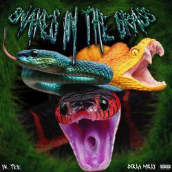 Snakes in the Grass (feat. Dolla Milly)