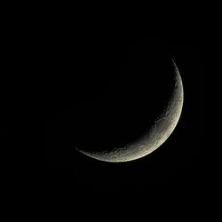 Nothing But Bad News