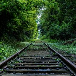 Passing Trains