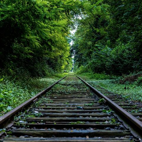 Passing Trains