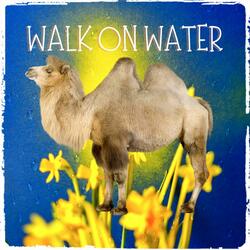 Walk On Water