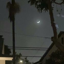 SLEEPING ON THE PORCH (Continuous track)