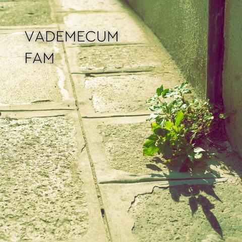 Vademecum FAM