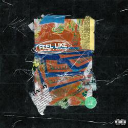 Feel Like (feat. Steven Kang)