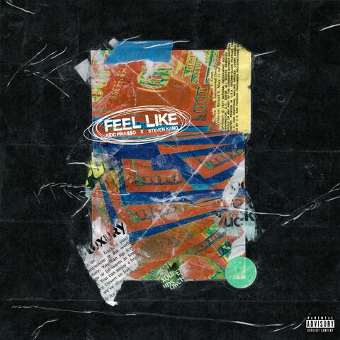Feel Like (feat. Steven Kang)