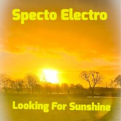 Looking For Sunshine