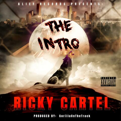 The Intro