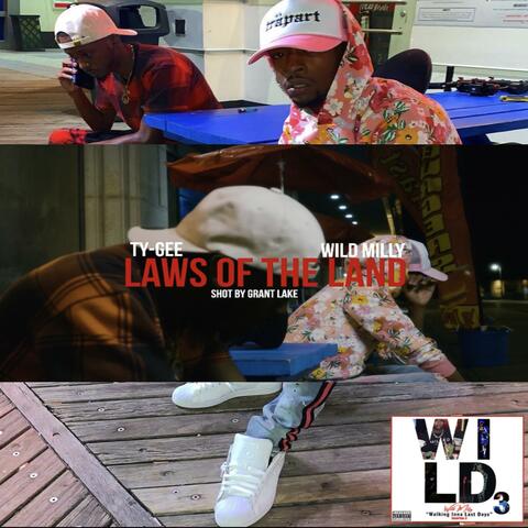Laws of the Land (feat. Ty-Gee)