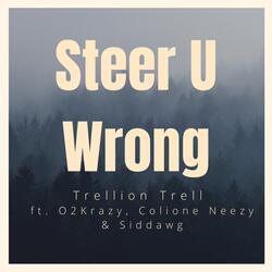 Steer U Wrong (feat. O2Krazy, Colione Neezy & Siddawg)