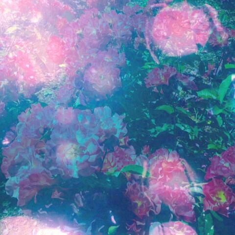 Blur