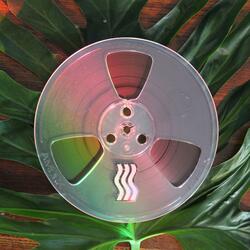 Shield Of Light