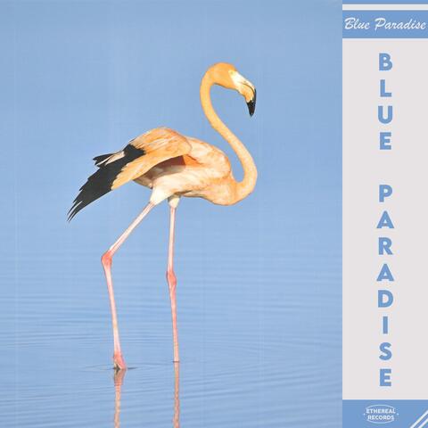 Blue Paradise